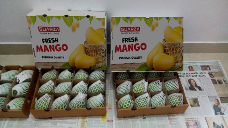 mockup mango box (1).jpg