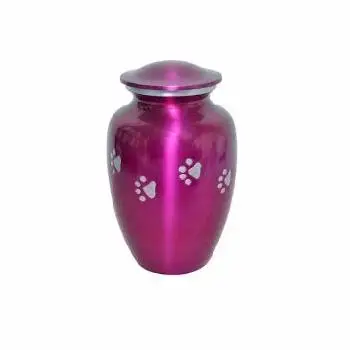 Black Color Crematorium Urns With Gold Paw Print Set Of 2 Brass Cremation Urn For Pet Premium Keepsake Cremation Urn