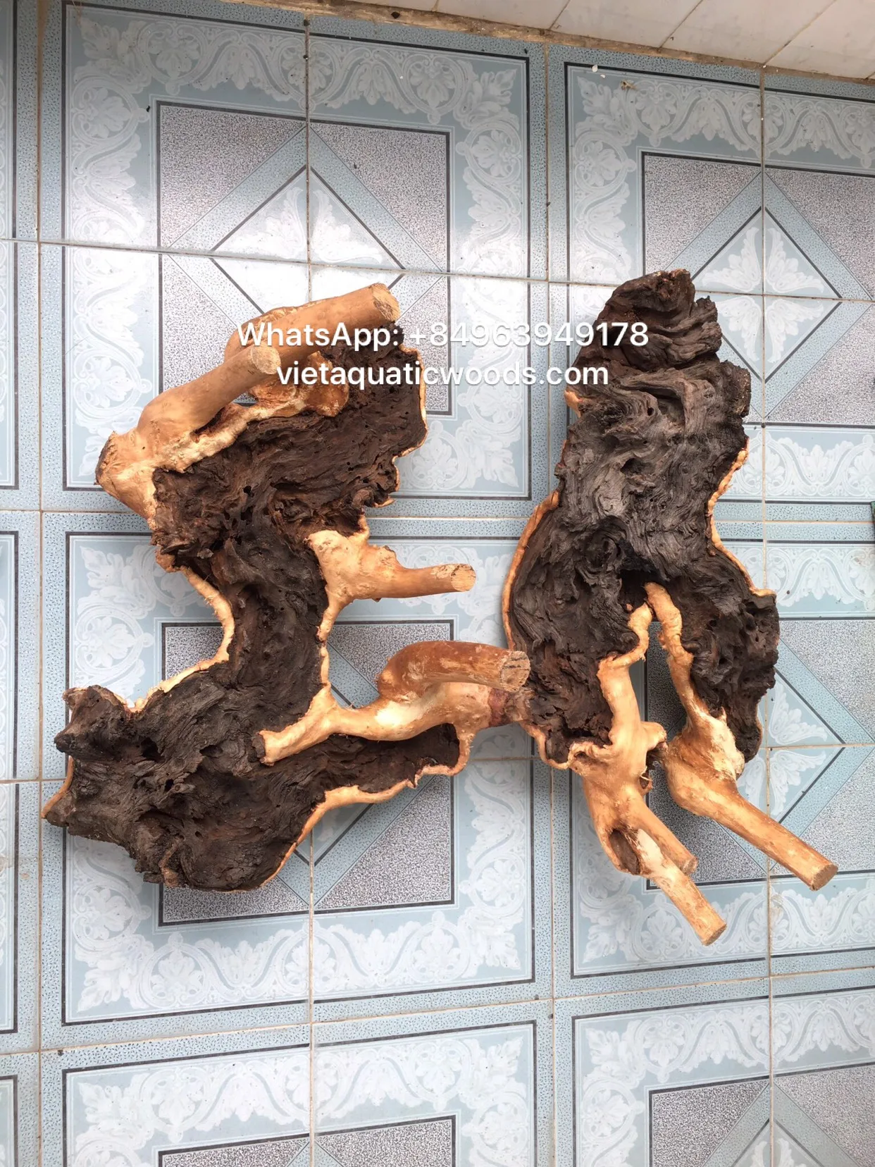 Hot arrival  Natural driftwood for aquarium ornament Whatsapp +84 963949178