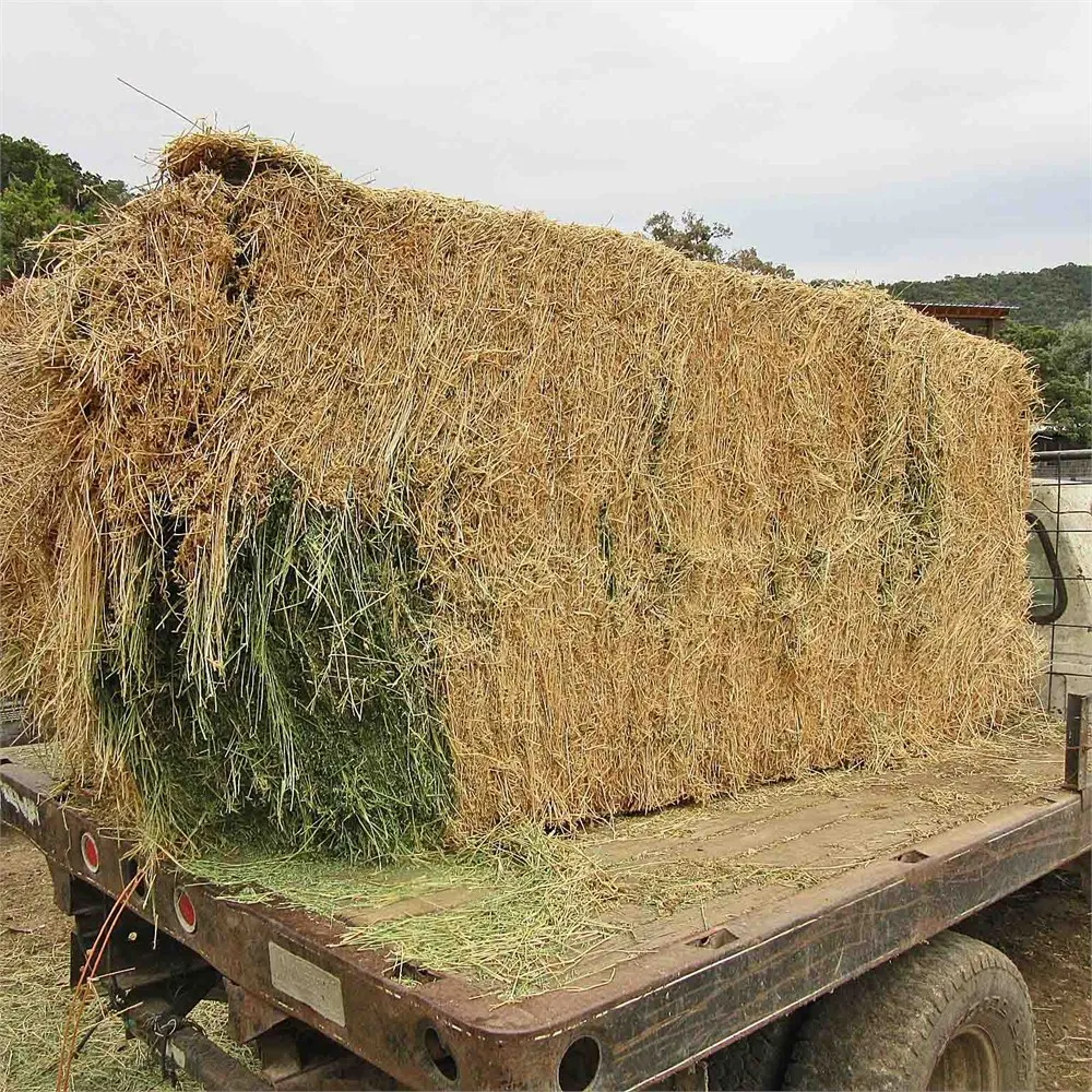 2021 Альфальфа Сено/Тимоти альфафа Сено/Род сено из Украины