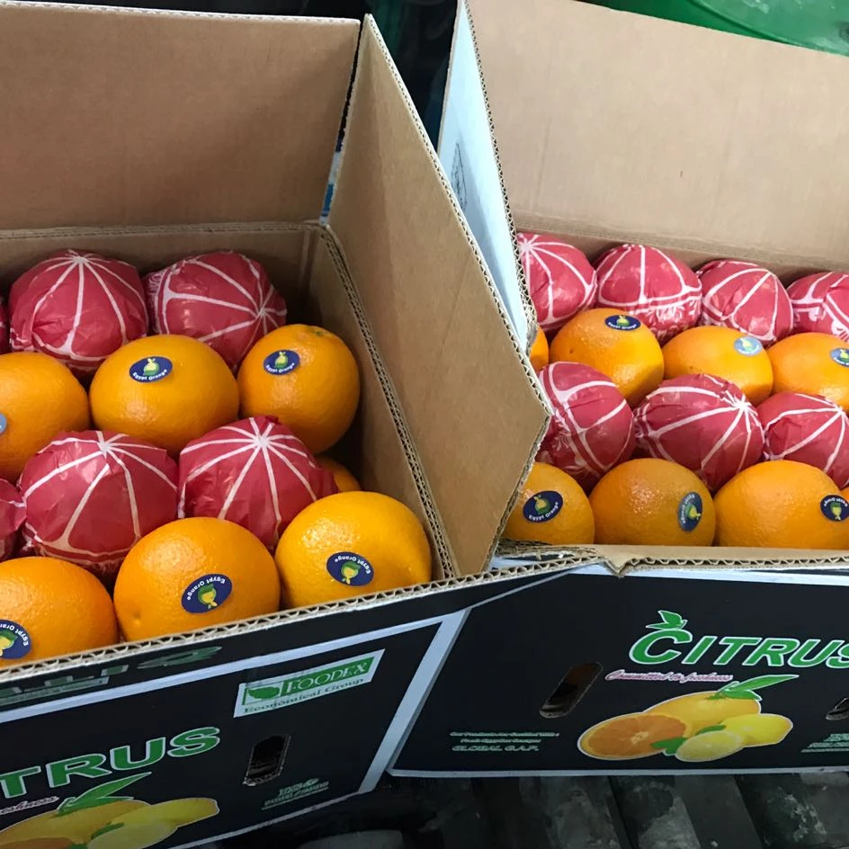 Оранжевый свежий оранжевый 2022 новый стиль желтый оранжевый свежий оранжевый фрукты