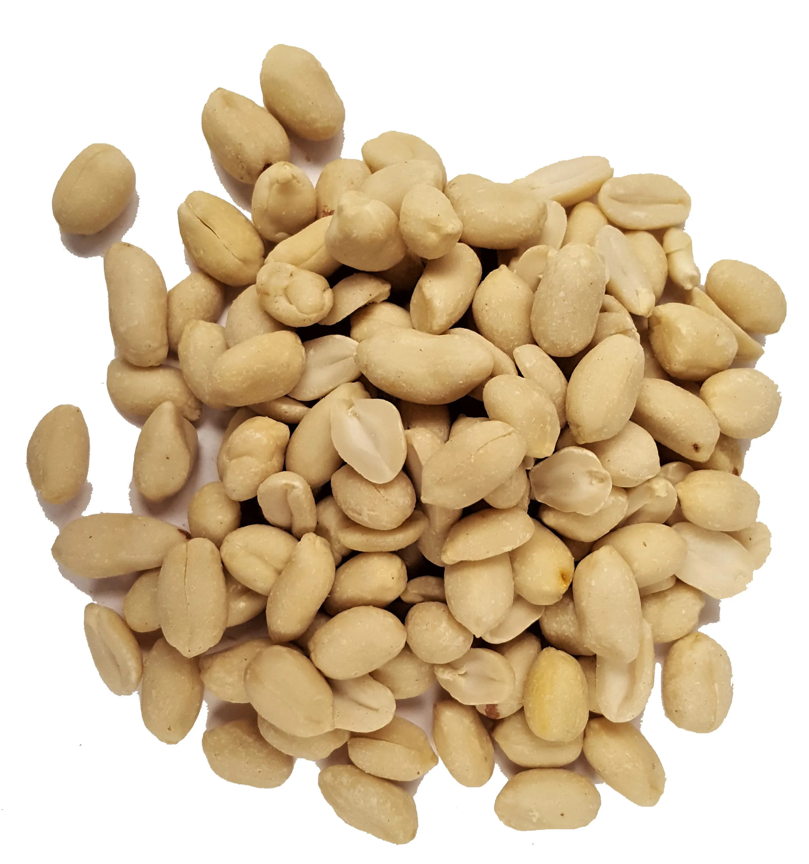 peanut supplier peanut in turkey roasted peeled peanuts