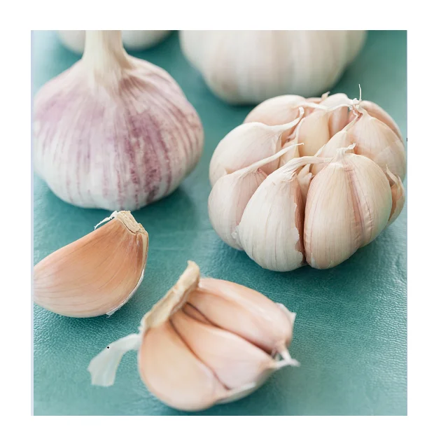 
Wholesale Cheap Price For Top Selling Fresh Garlic 