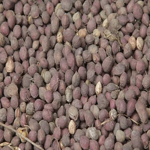 High Quality Bambara Groundnut