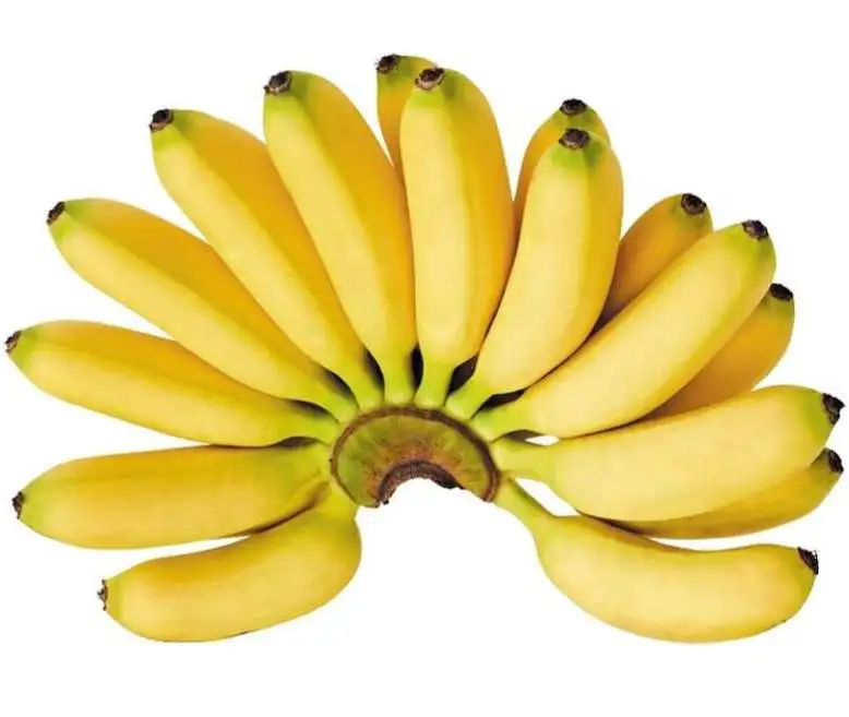 amadurecimento da banana