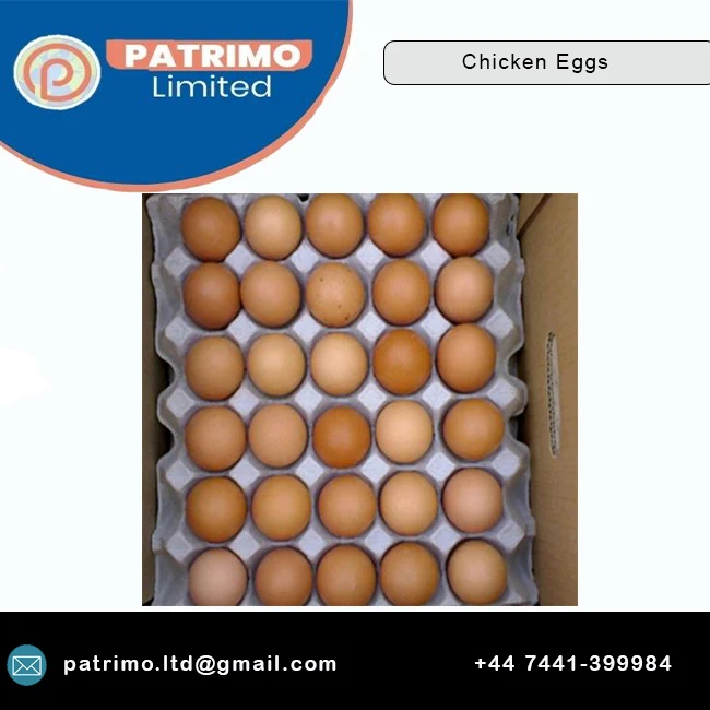 Top quality of Brown Table Chicken Eggs for Suitable price