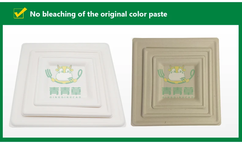 
10inch Compostable Biodegradable bagasse pulp sugarcane tableware plate bowl food tray 
