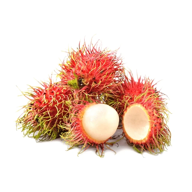 Best seller Fresh Rambutan Premium grade from Thailand by SP Organic International