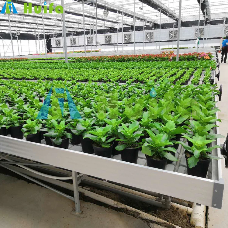 Hydroponic Greenhouse Shelves Growing Table Flood Tray Hydroponic Growing Systems