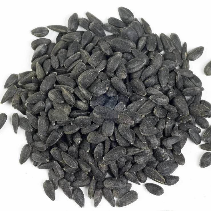 Raw Sunflower Seeds. Black, White and mixed Sunflower seeds