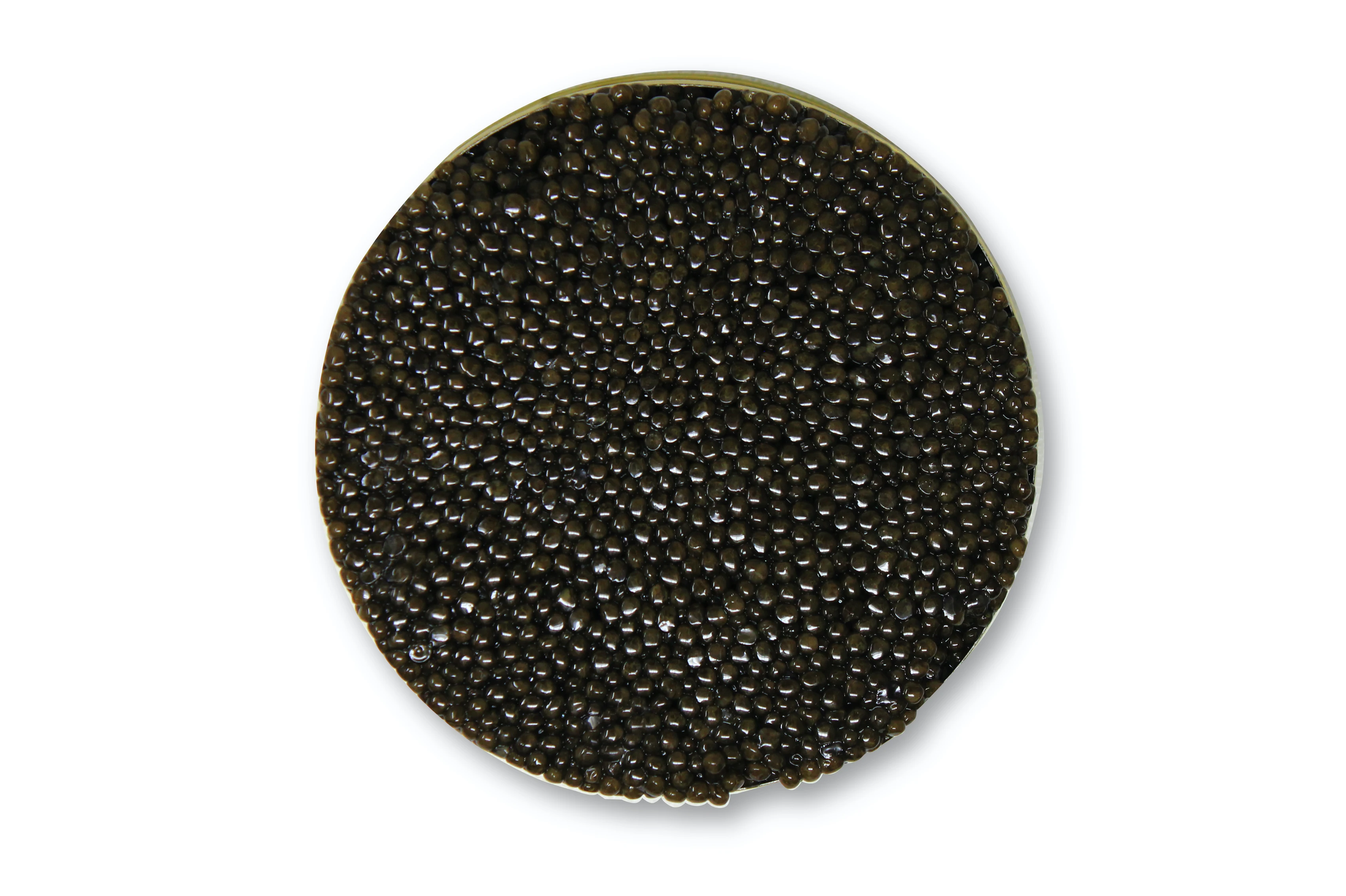 Italian Sustainable Siberian Sturgeon Caviar Malossol 250gr Tin Made in Italy