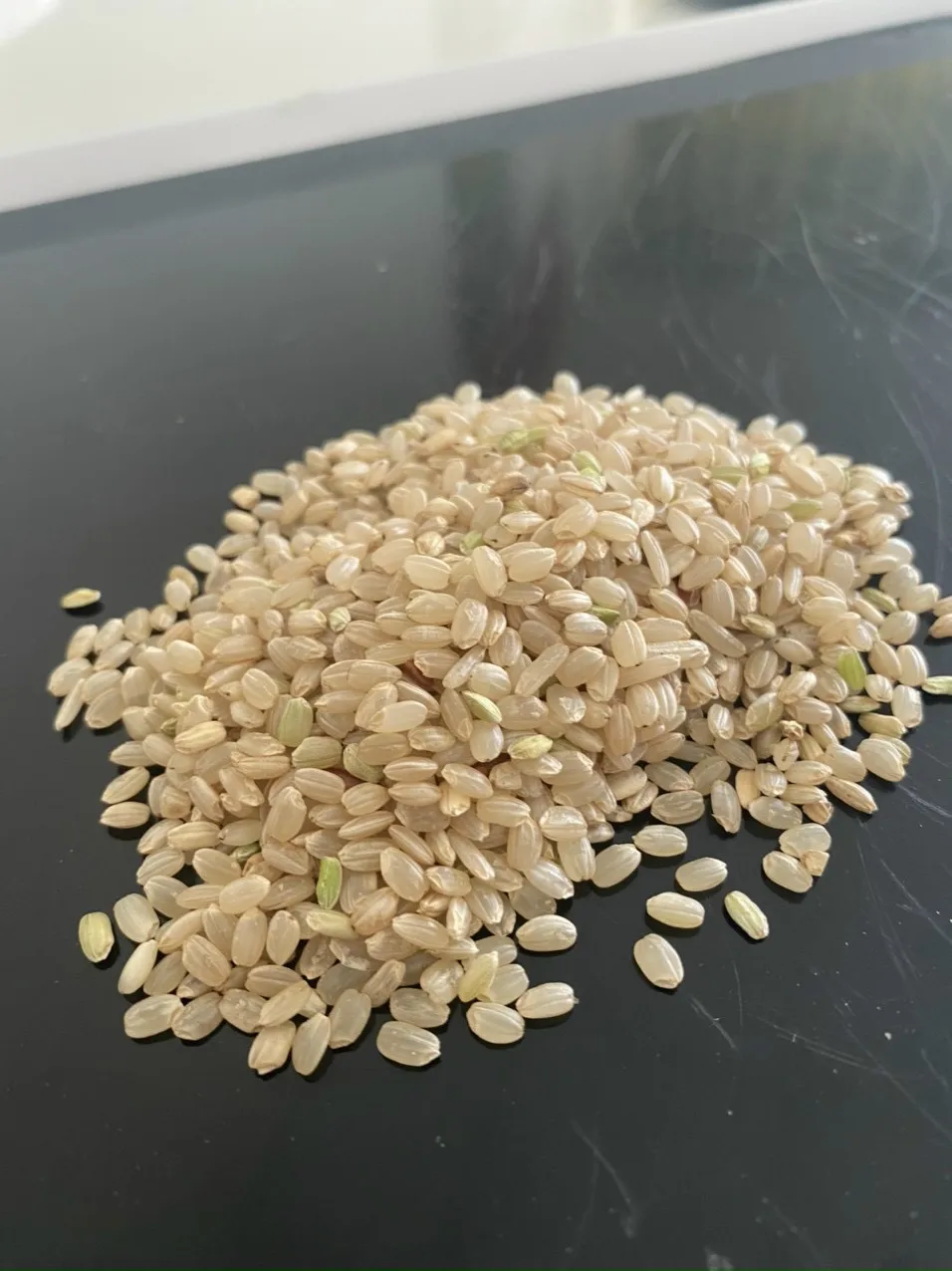 Коричневый рис JAPONICA 5% сделано в Вьетнаме высокое качество