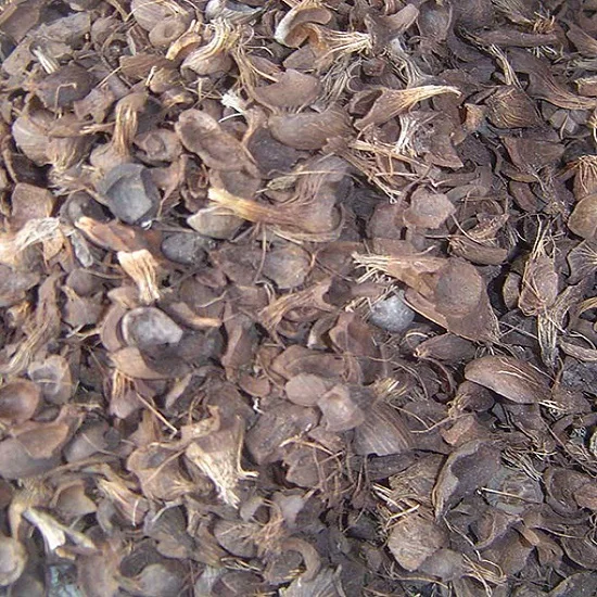 palm kernel shell 4.jpg