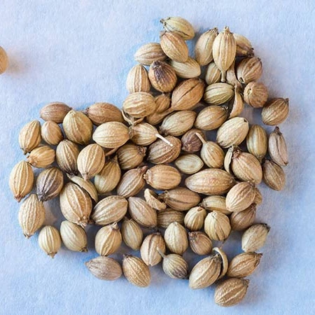 Горячая распродажа! Сушеные семена Viet Nam Coriander/кинзы