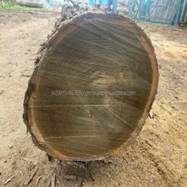 Bubinga Or Kevazingo Wood Square And Round Logs