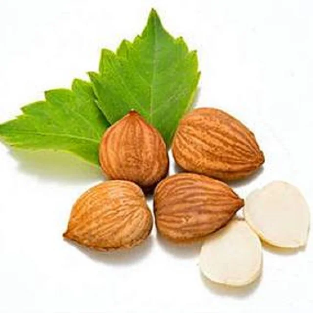 High Quality Raw Apricot Kernels / Nuts at Cheapest Wholesale Prices Available In Huge Stock (10000007330635)