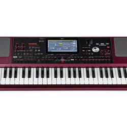 2021 Original Korg pa 1000 61 keys Professional Arranger