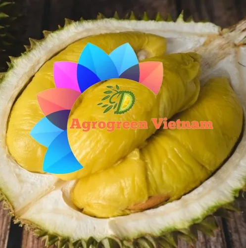Premium Quality Frozen Durian Fruit From Vietnam Farmer Grow Bulk
