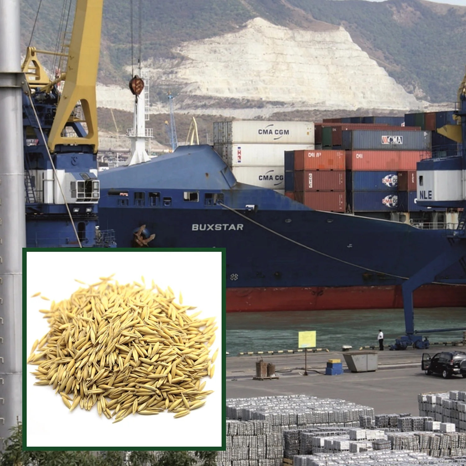 
Great quality oats 25/50 kg bags or in bulk, product of Russia 