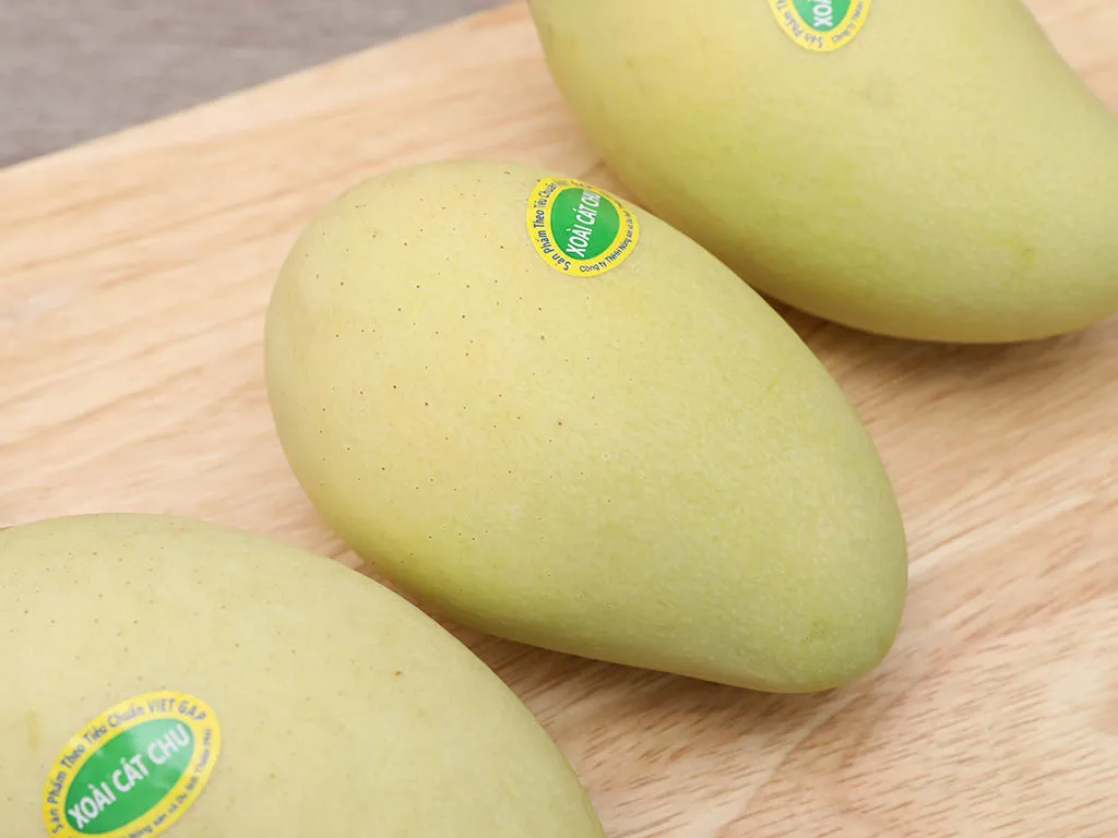 Fresh Mango Vietnam Mango EU Quality Mangos with High Quality Low MOQ