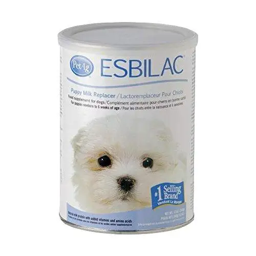 Pet Pure Goat Milk Powder for Dogs and Cats at Wholesale Price