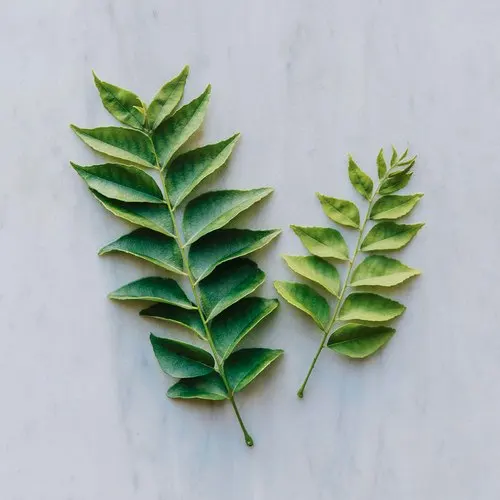 Высококачественные листья карри