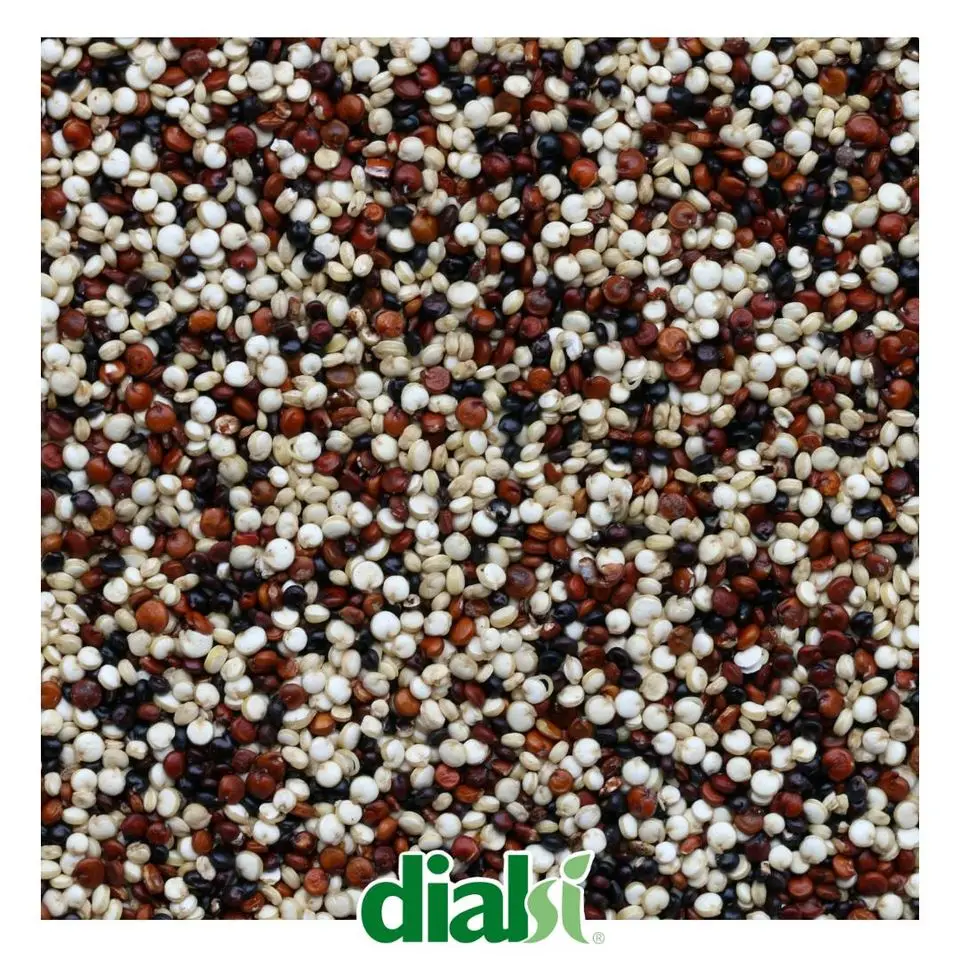 Best Quality Gluten Free Italian Indica Rice and Quinoa Loose Pasta Bulk 6kg food and beverage private label