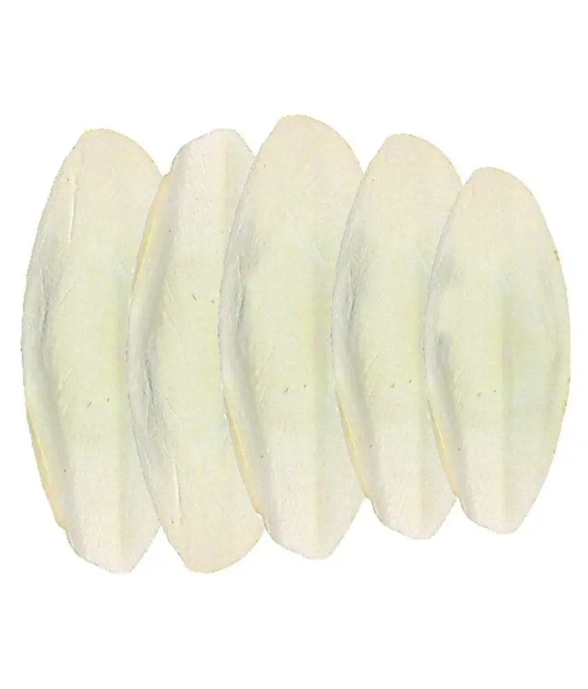 Raw Cuttlefish Bone Export To USA Market - WHOLESALE 2021 FROM VIETNAM/ TOP QUALITY & CHEAP PRICE
