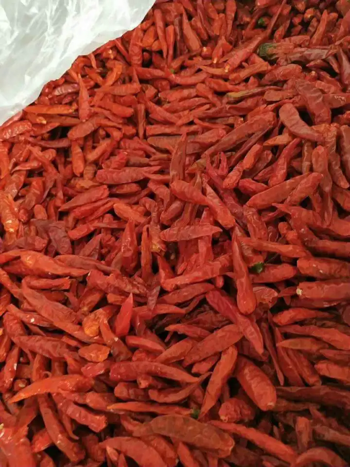 DRIED red CHILLI hot spicy , contact +84963818434 whatsapp