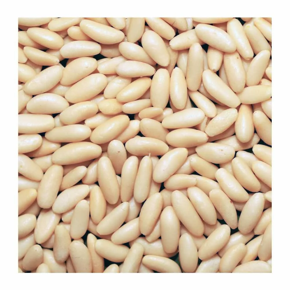 RAW PINE NUTS WITH CERTIFICATE