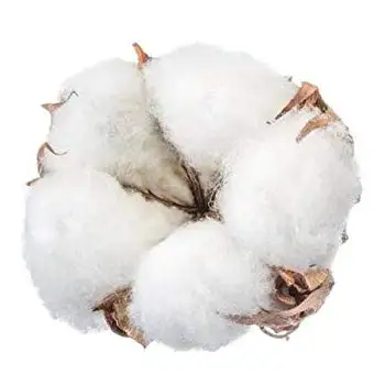 
Raw cotton / Cotton Yarn / Cotton Fiber 