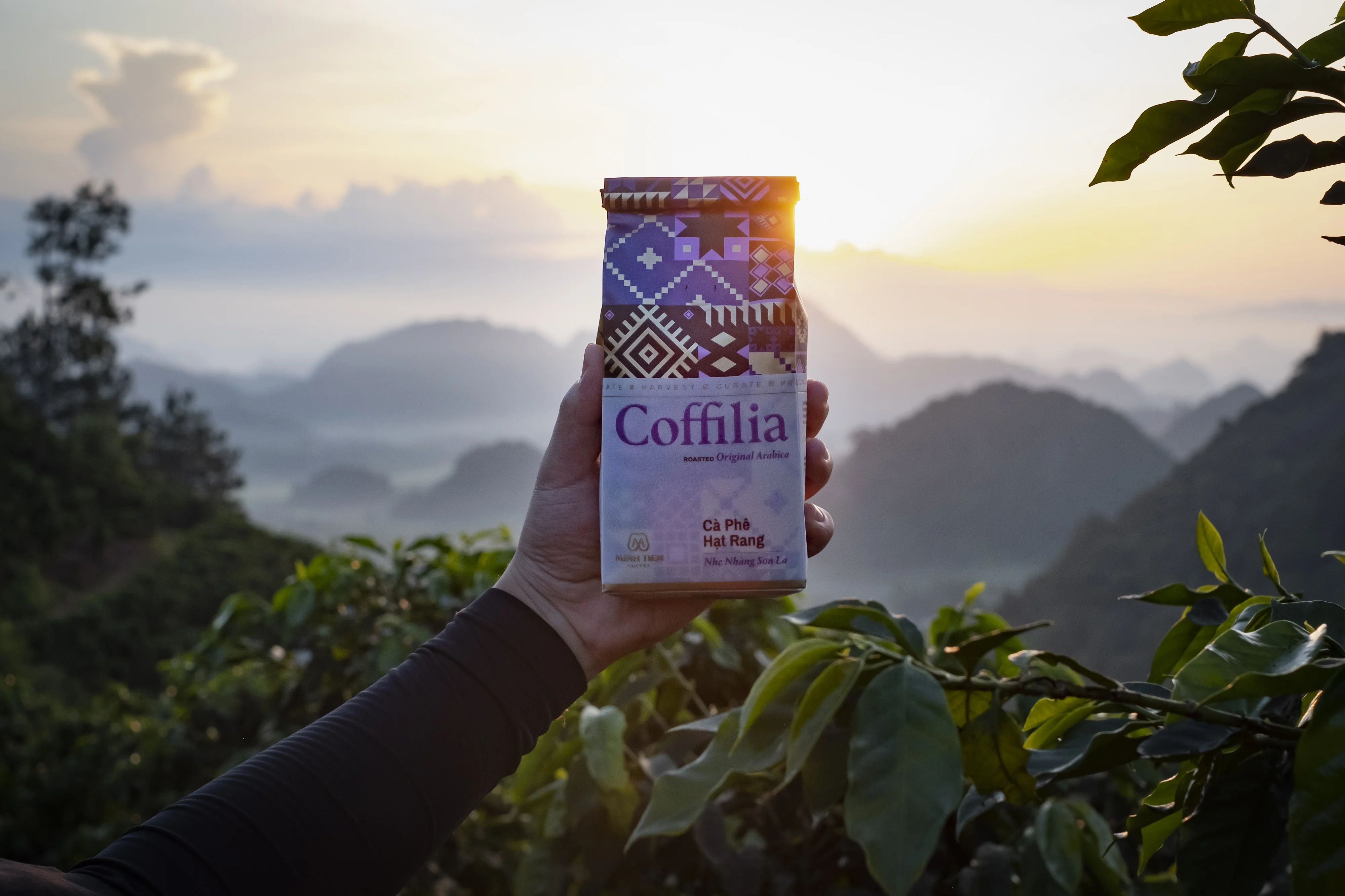 
Fruity And Choco Taste Arabica Variety Gentle Son La Coffilia Roasted Ground Coffee From Vietnam 