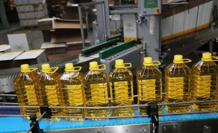 
Organic Oil Hazelnut Oil Refined Organic Original Turkish 100 Purity 100% Pure Cold Pressed Glass Bottle Light Yellow from TR 