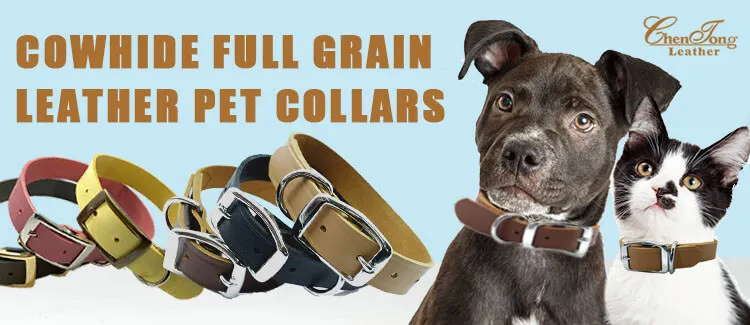 single collar T16nb1R02