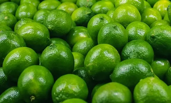Fresh High Quality Green Seedless Persian Lime for