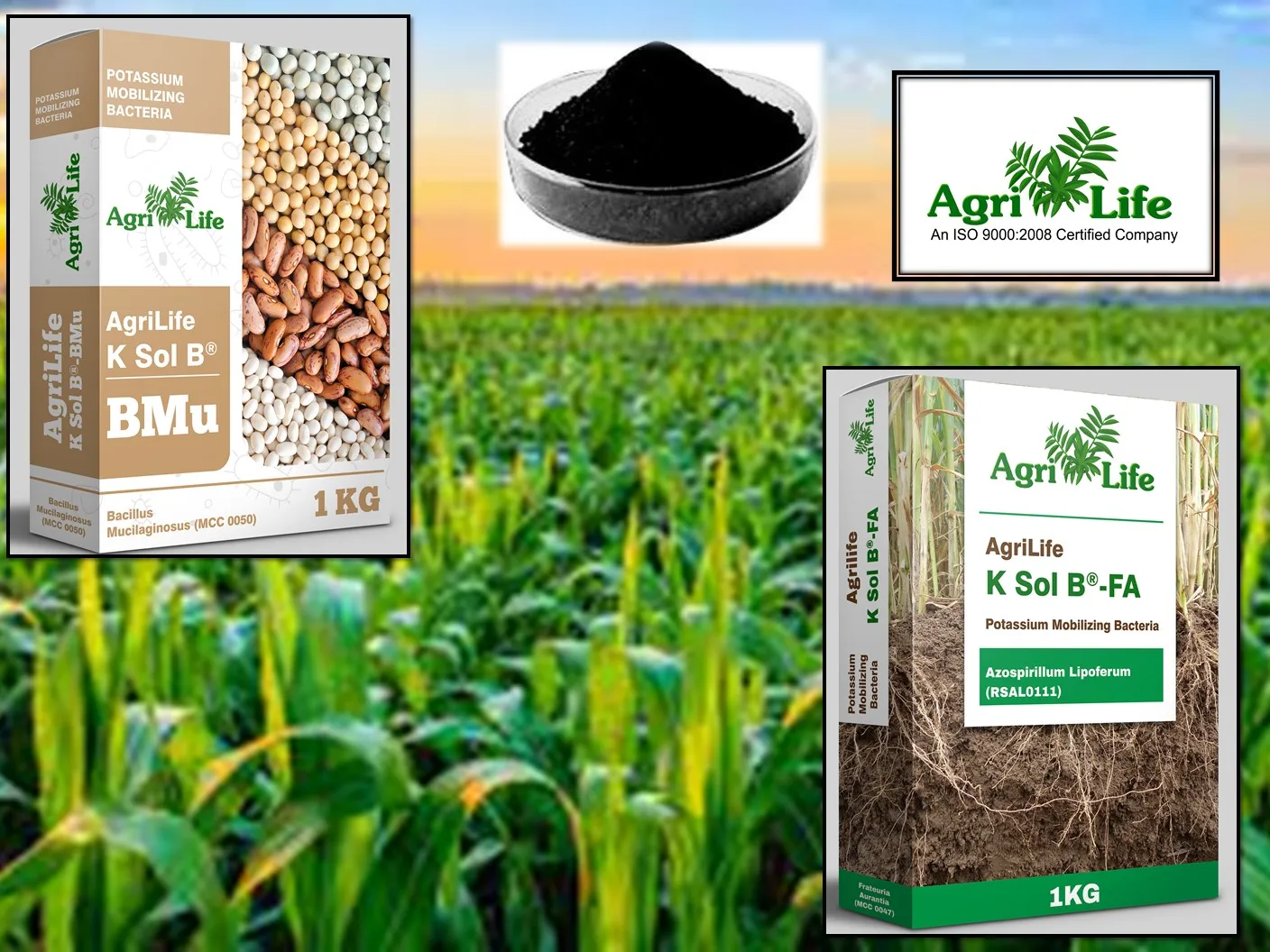 Высококачественное биоудобрение калия 100% органическое для всех урожаев удобрение без химикатов активатор роста растений