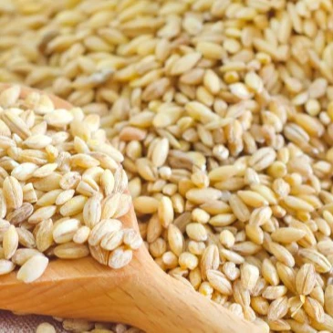  Factory selling organic price grain bulk quality Bulgur Wheat