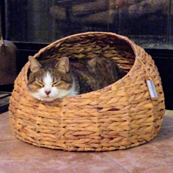 Handmade Wicker Non-toxic Indoor Cat House Small Dog Sleeping Bed Water Hyacinth Pet Basket Bed Made in Vietnam