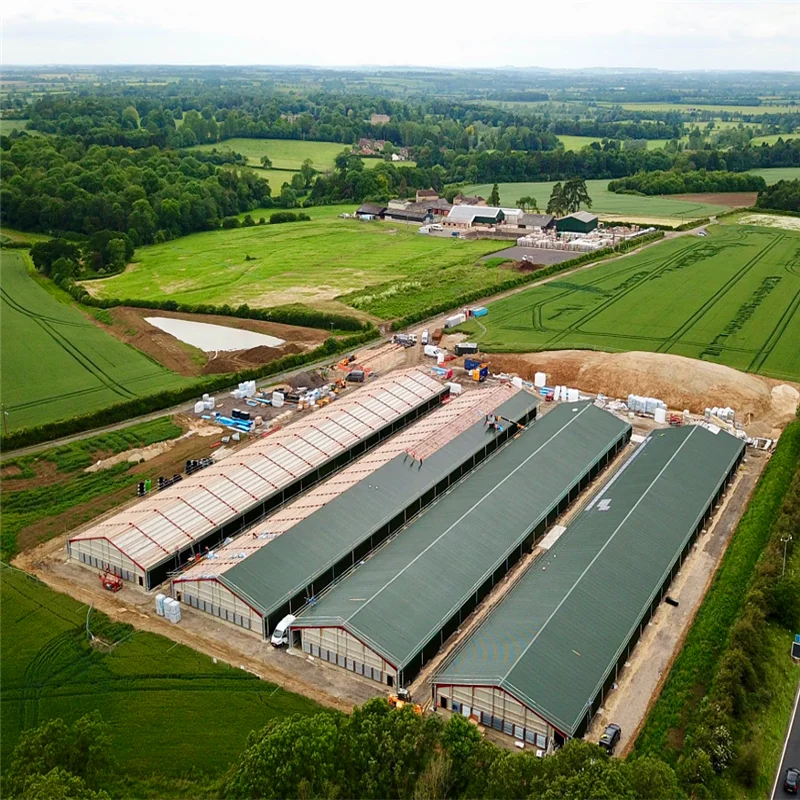 Cheap Steel Industrial Automatic Broiler Poultry Farm Chicken House for 10000 Chickens
