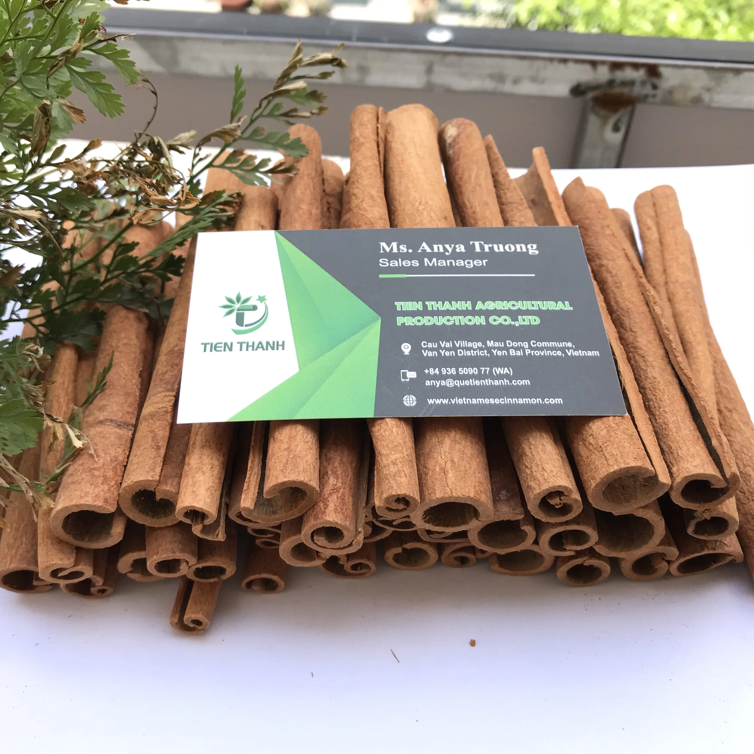 Stick Cinnamon /  Bastard Cinnamon / Canela de Cassia