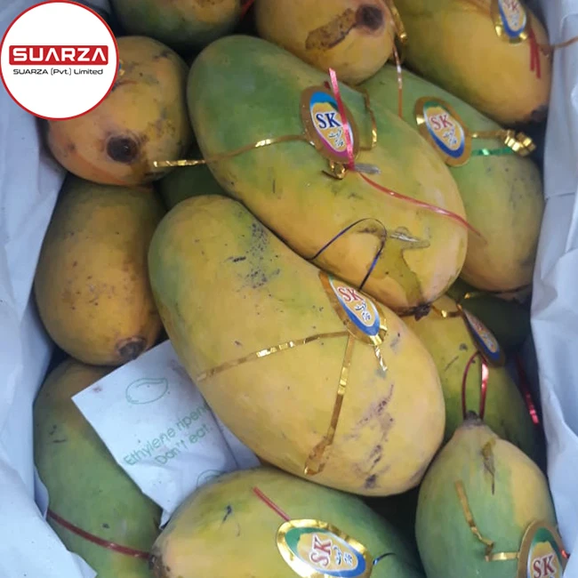 Fresh Alphonso Mango Frischen Fruchten  of Pakistan at cheap prices are exported  to Canada, Australia, France and Europe