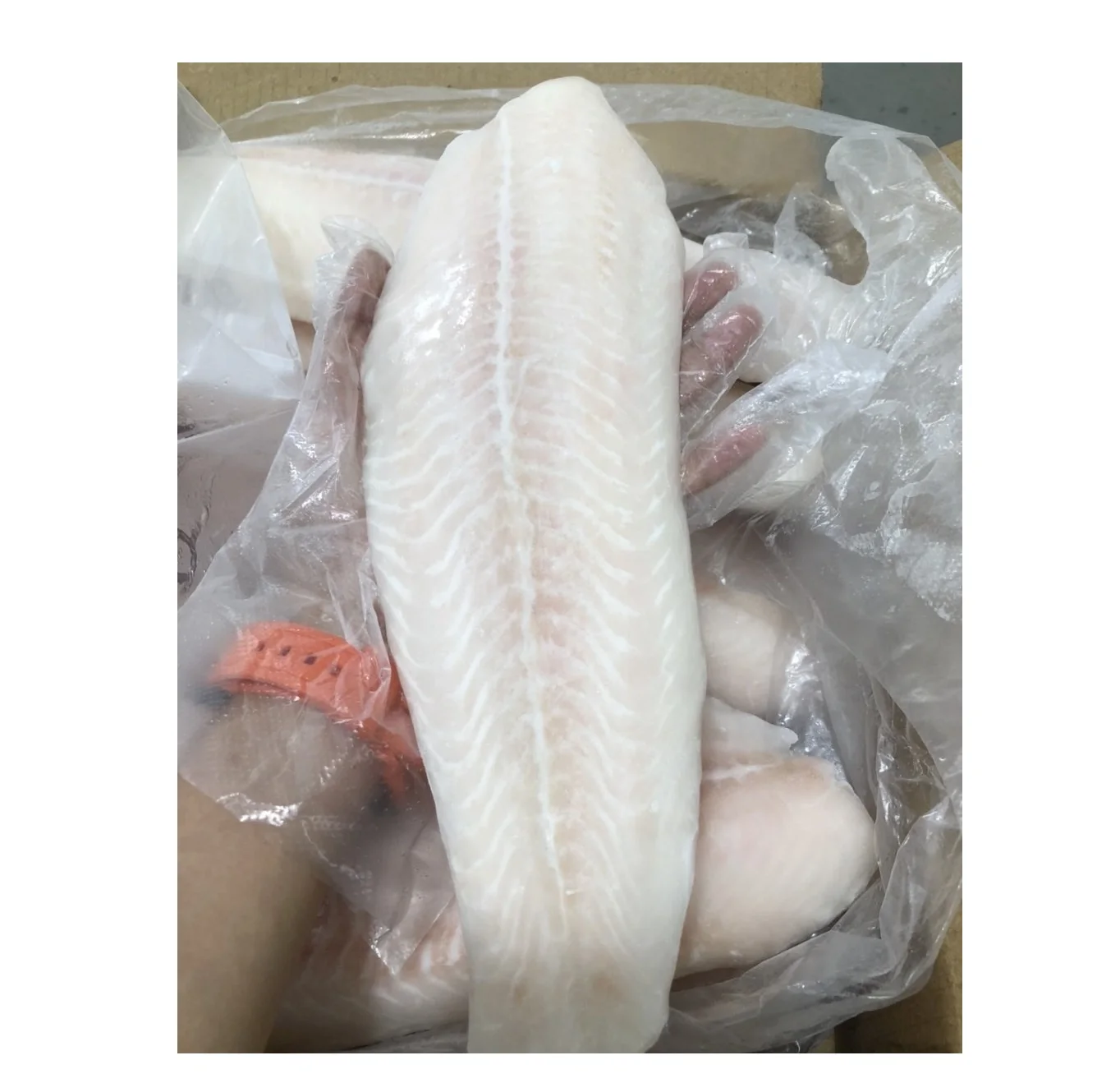 High quality Frozen Pangasius/ Basa Fillet