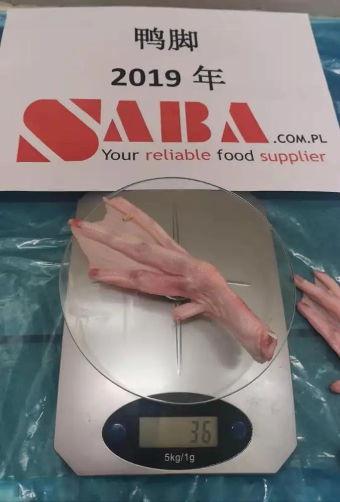 New Wholesale High Quality Poland Frozen Duck Feet Duck Leg