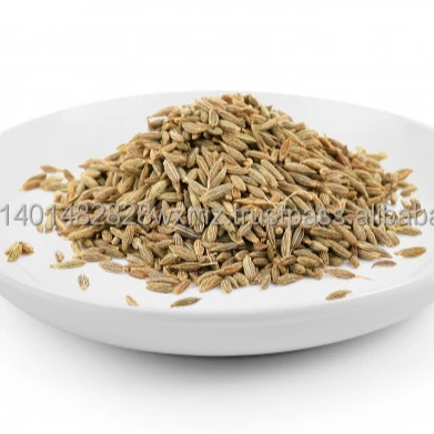 
farmer new production of cumin seeds 