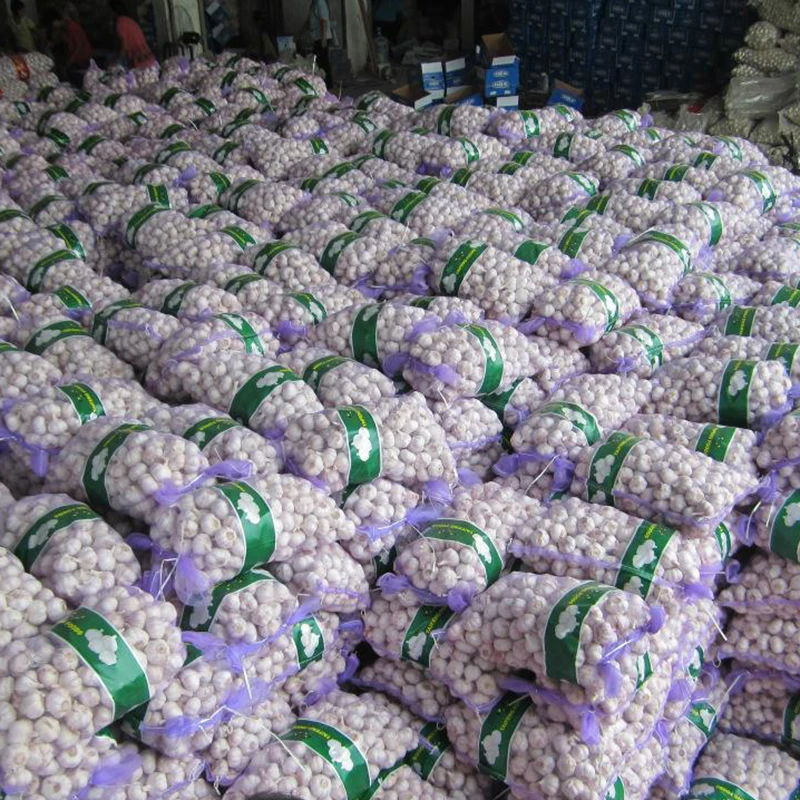 Chinese Normal White Fresh Garlic in 10kg mesh bag Packing