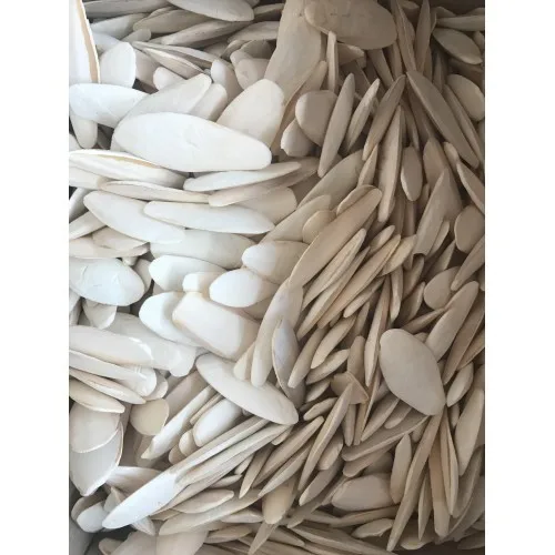 CUTTLE FISH BONE/ CUTTLEFISH BONE/ CUTTLEBONE FOR BIRD - PRODUCTS FROM VIET NAM 2021