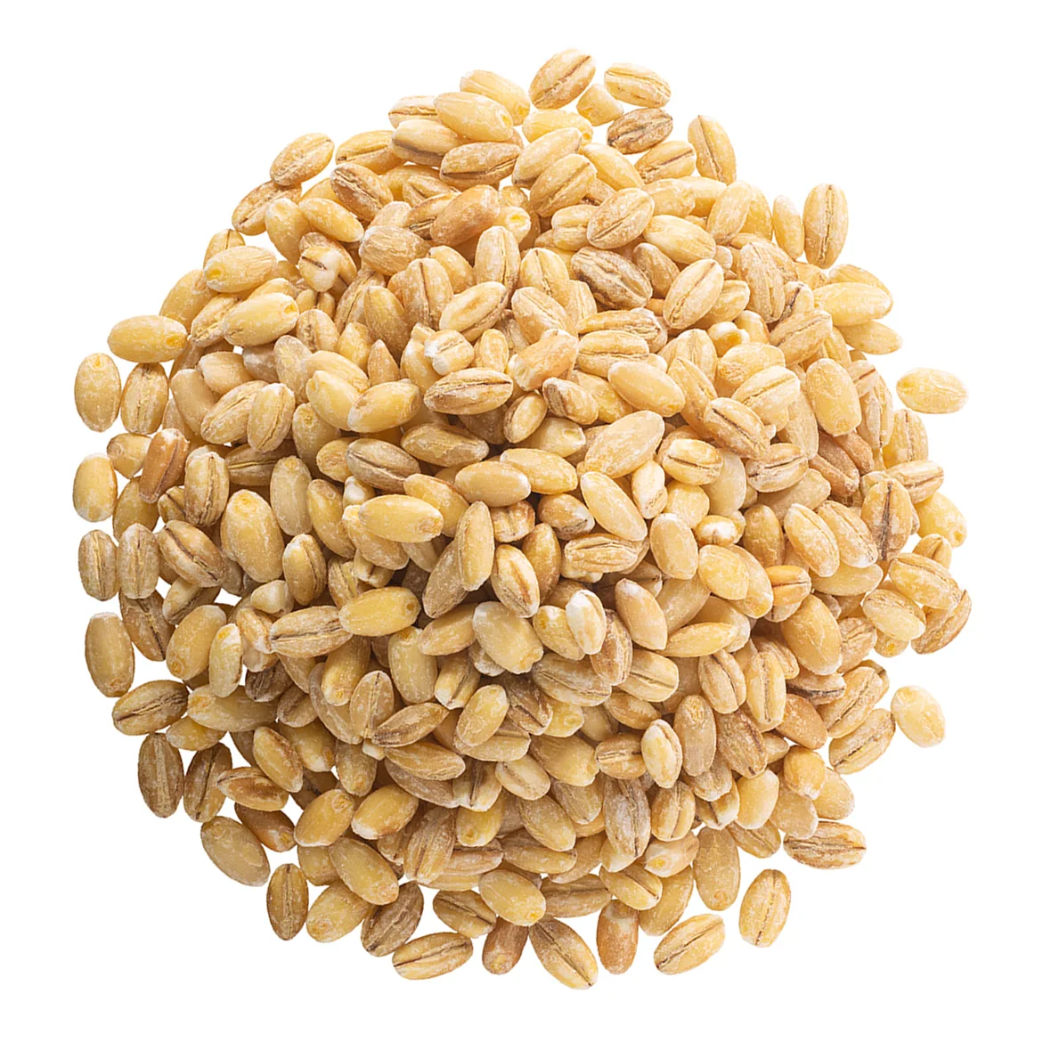 
Russian wholesale barley grain, forage seeds 