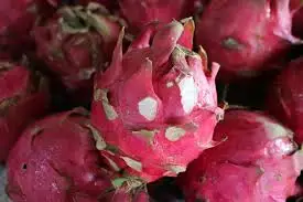 Свежий фрукт дракона-2021