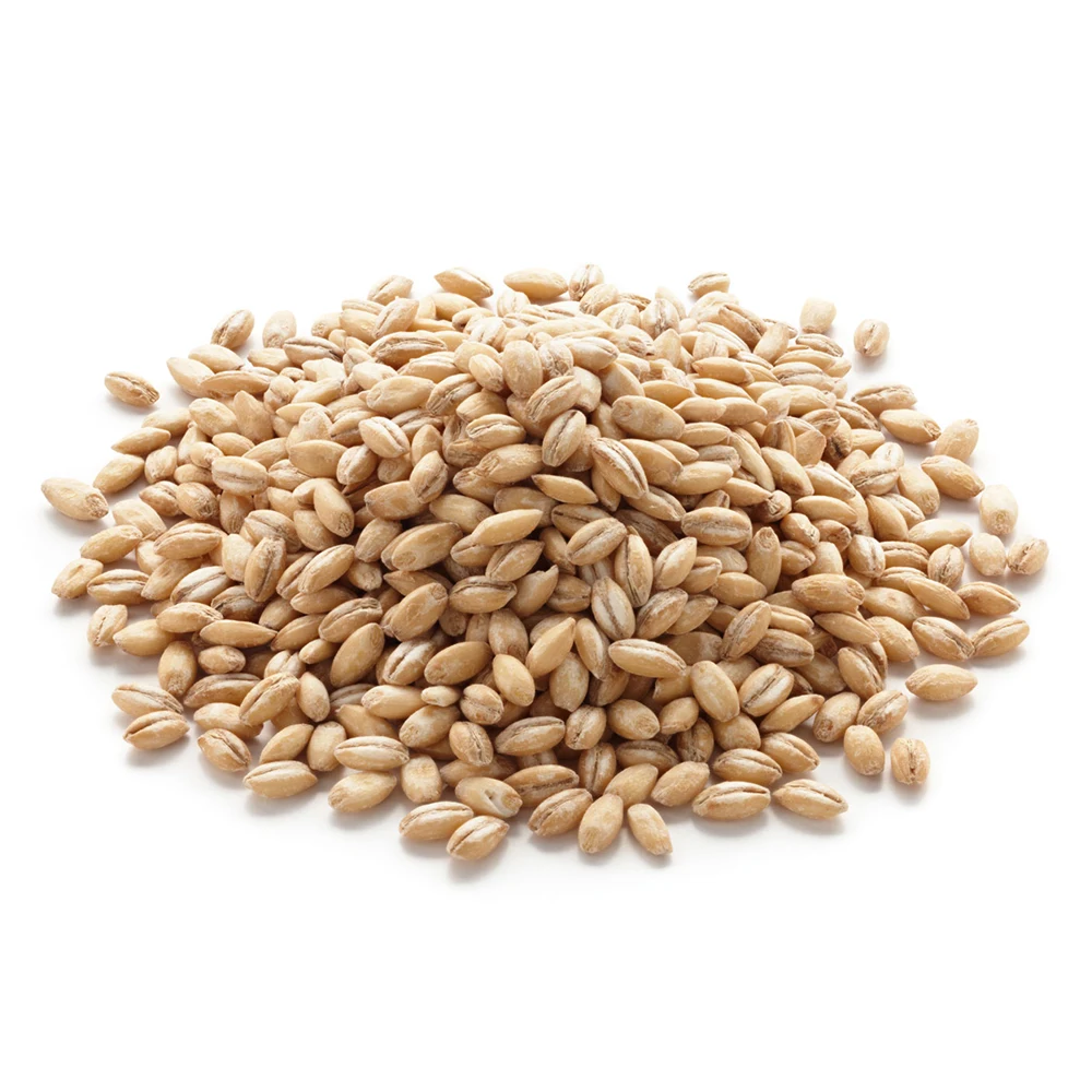 Organic Barley for Malt Barley Feed/ Malted Barley Animal Feed