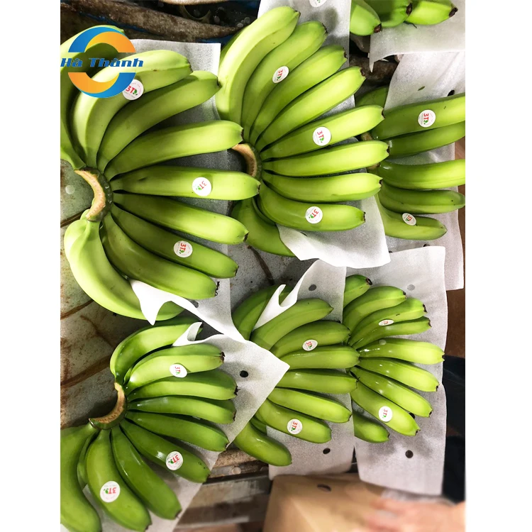 Top Selling Wholesale Manganese In Bananas Is Good For Your Skin Cavendish Bananas Price Fresh